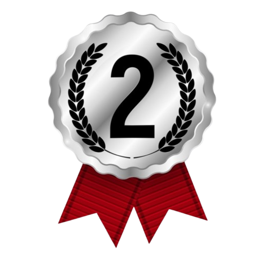 Second Prize