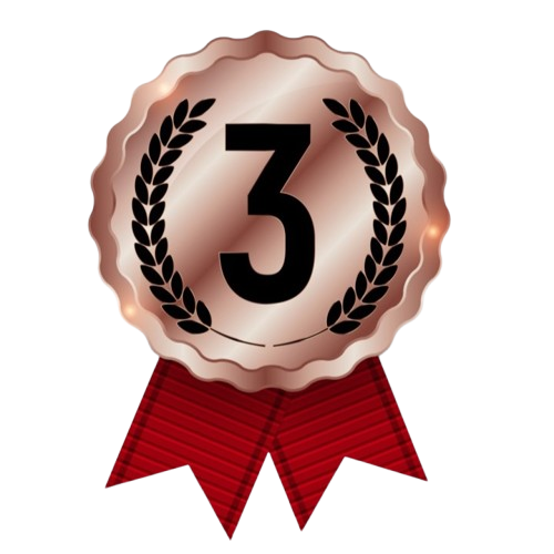 Third Prize